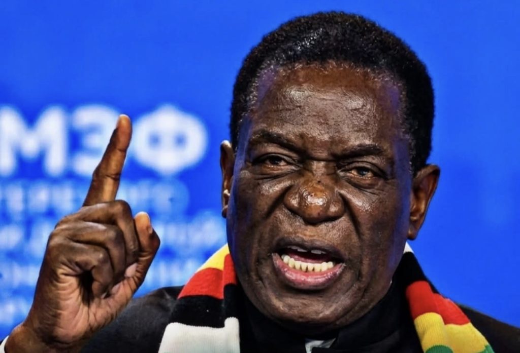 Afrique Australe : le Zimbabwe veut s’inspirer du modèle togolais pour réformer sa Constitution