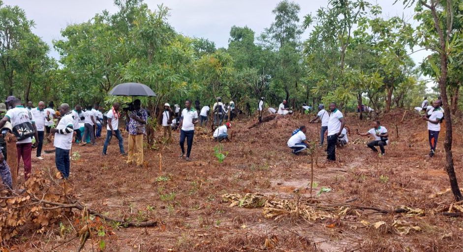 1 250 plants en terre à Kougnohou : les exploitants forestiers d’Akébou a montré la voie avant le 1er juin