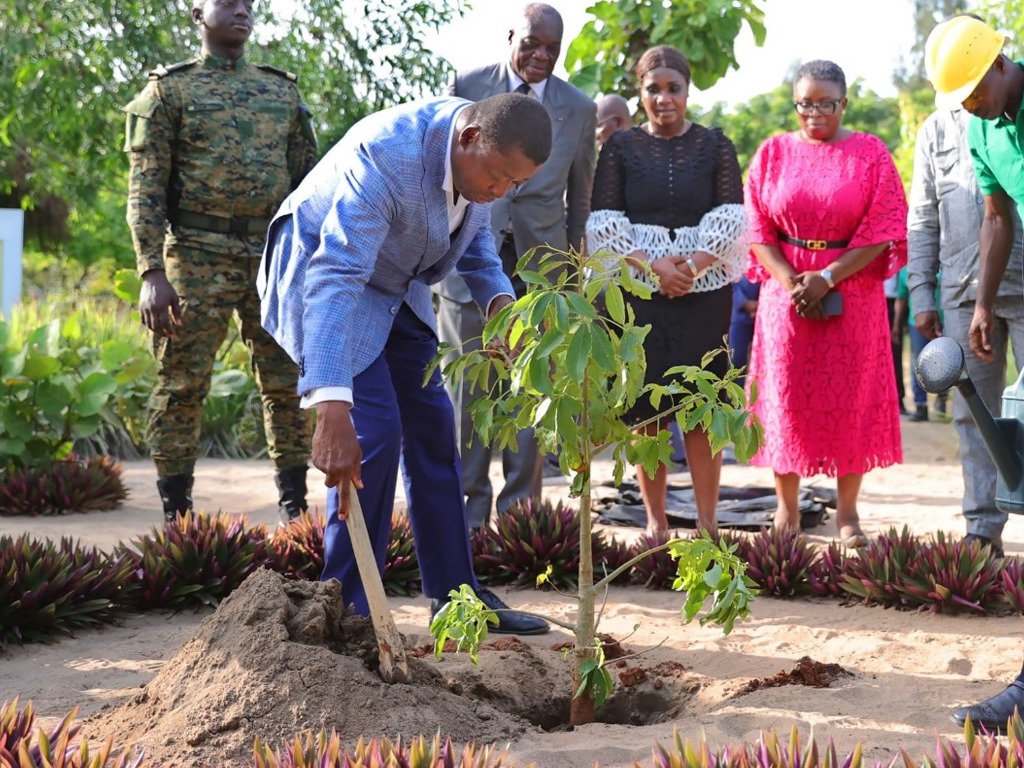 49e Journée nationale de l’arbre : le Togo mobilise ses citoyens face à une couverture forestière réduite de 67% à 24%