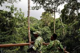 Togo/Conseil des ministres : le gouvernement restructure le corps des agents des eaux et forêts